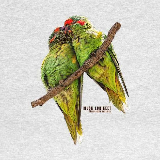 Musk Lorikeet_01C by seadogprints